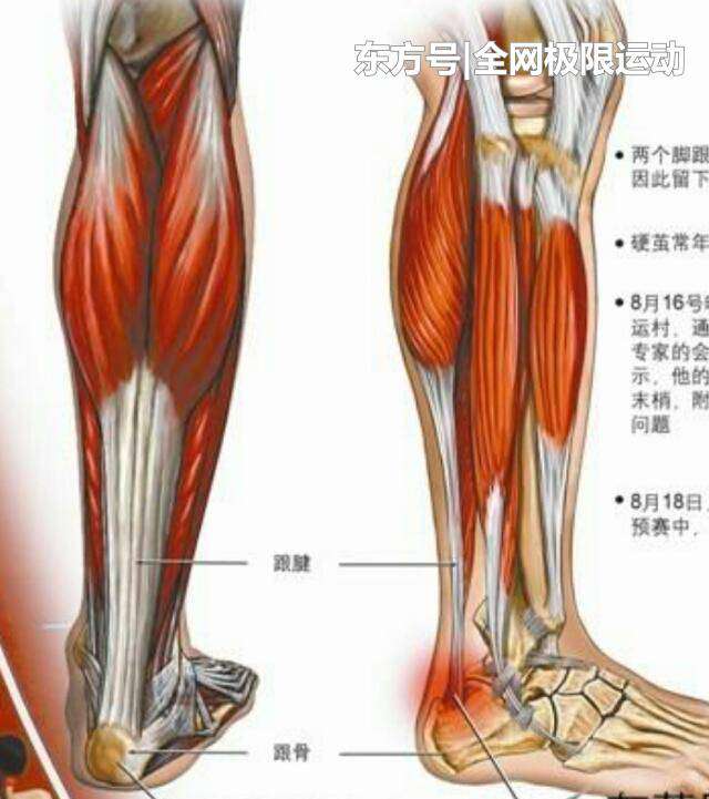 科比跟腱撕裂 血腥！科比跟腱断裂有多痛，手术过程告诉你！