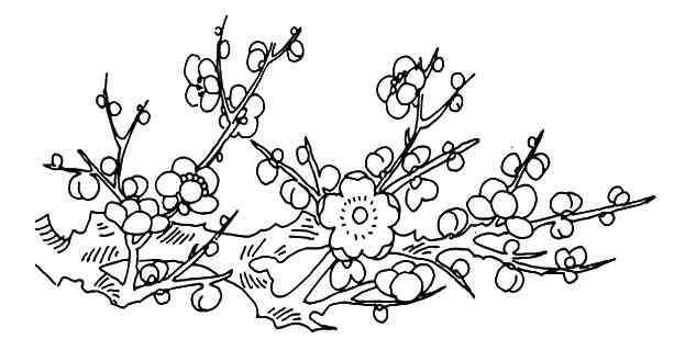 形容梅花傲骨的诗句 傲骨梅花植物简笔画图片大全