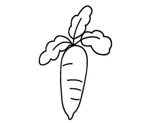 萝卜的简笔画 植物简笔画图片大全-可爱小萝卜
