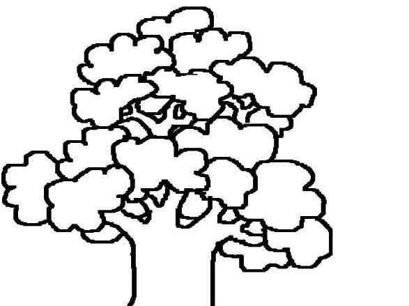 各种植物简笔画图片 植物简笔画图片_各种各样的树木