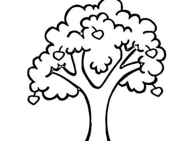 秋天的果实简笔画 秋天的果树儿童植物简笔画大全