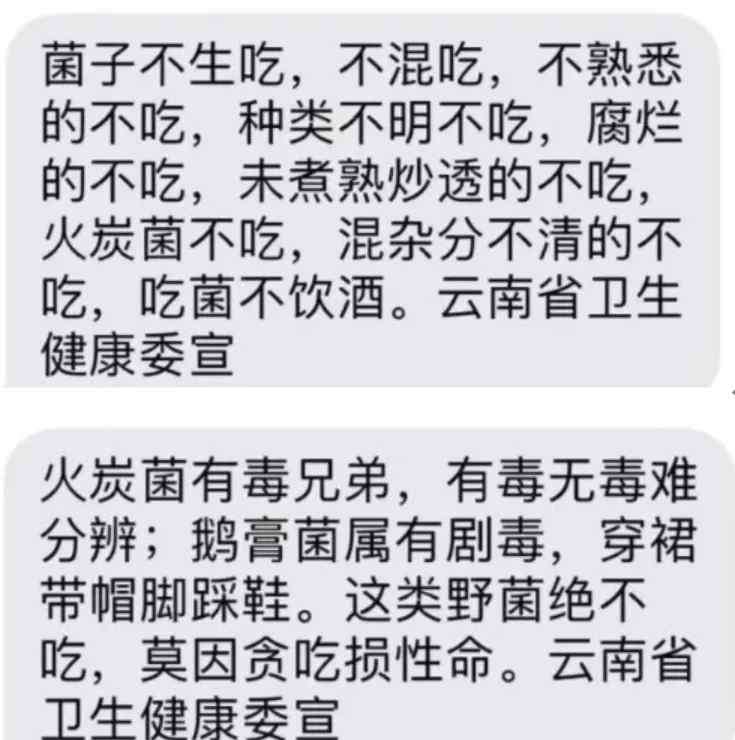 云南吃人 吃最野的蘑菇，躺最贵的ICU？云南人到底有多爱毒蘑菇？