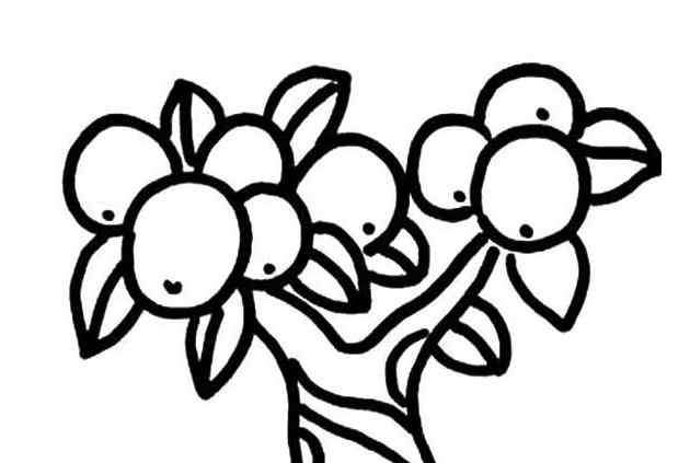 秋天的果实简笔画 秋天的果树儿童植物简笔画大全