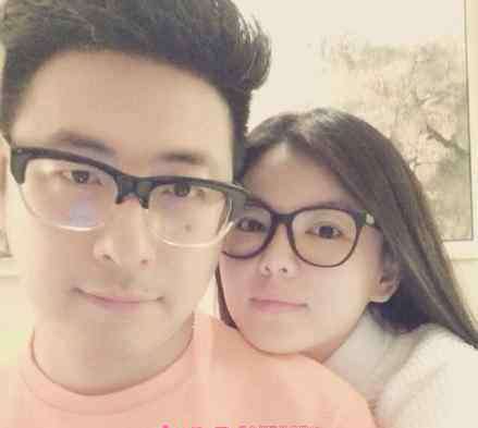 王岳伦李湘 王岳伦老婆是谁 王岳伦与老婆李湘离婚了吗