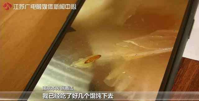 南京月子中心 南京大美母婴月子中心遭投诉：馄饨藏虫蛹 汤里漂蜈蚣