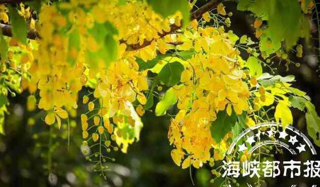 四月唯美句子 最美人间四月天的语句 迎接四月的唯美句子你好四月励志语录