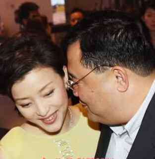 杨澜前夫 杨澜前夫张一兵照片和个人资料