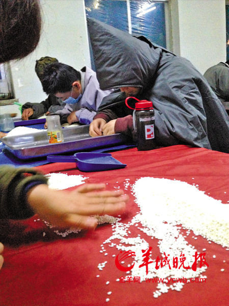 凌晨2点，大悲寺下院的女居士们在数米并将米里的虫