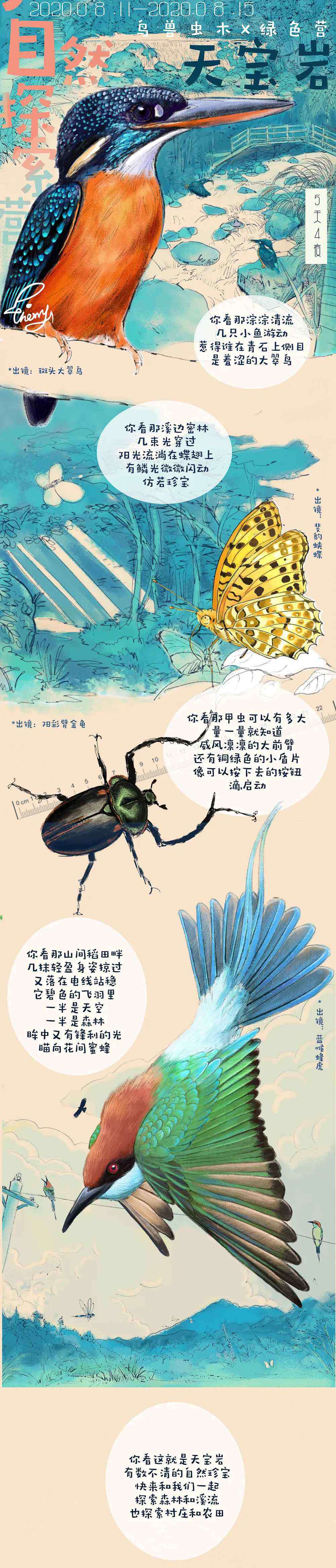 天宝岩 2020暑假福建 | 闽中森林腹地-天宝岩自然探索营