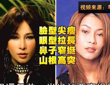 温岚资料 温岚整容前后对比 温岚资料以及照片