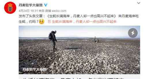 丹麦生蚝泛滥求助 丹麦生蚝成灾问题如何解？中国网友：可建“蚝宅”