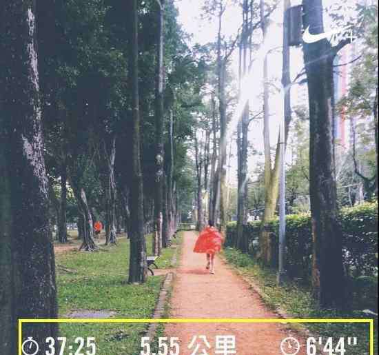 孕妇6个月 怀孕6个月每月坚持跑步60公里 她是“海宁陈意涵"