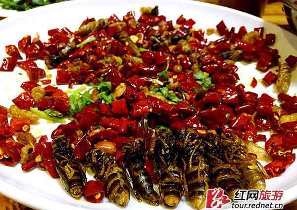 中国十大恐怖食物 湖南十大重口味惊悚美食 赏景之余练练胆