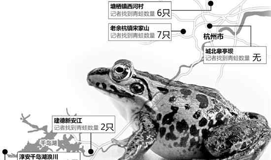找青蛙 杭州周边平均100平方一只青蛙 化肥农药系主因