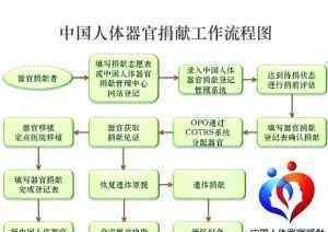 遗体捐献如何办理 137例遗体器官捐献，22例造血干细胞捐献，捐献让生命延续……