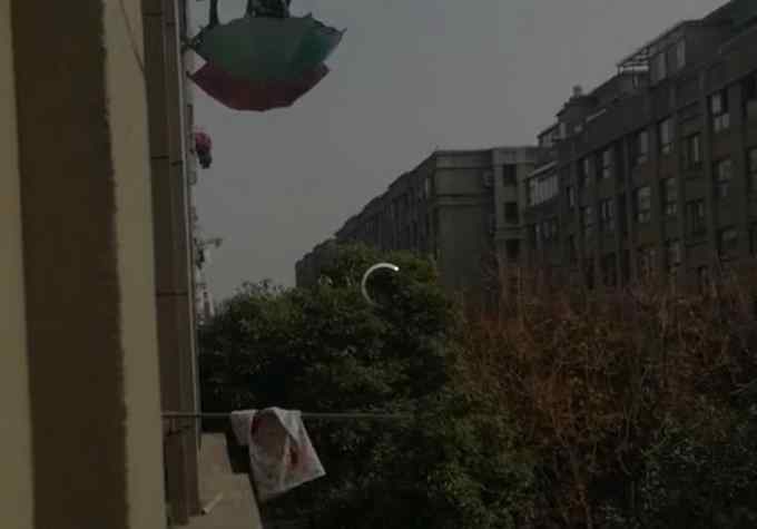 怪事！杭州一小区大晴天撑满雨伞 走进一看：哈哈哈哈好机智