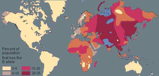 哪个血型的人最多 4大血型的全球地理分布，哪种血型的人最多？