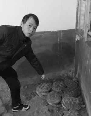 鳄龟是国家保护动物吗 宁波野生动物保护中心鳄鱼龟成灾 专家表示可吃掉