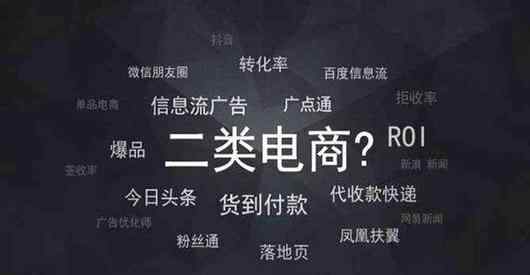二类电商是什么意思 二类电商：什么是二类电商？二类电商的运营模式是什么？如何运营二类电商？