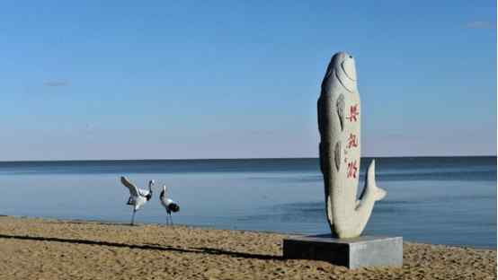 中国最高的湖 曾是黑龙江最大湖泊，现仅有三分之一属于中国，网友称：扎心了
