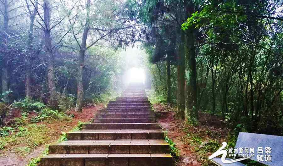 永泰云顶山 永泰县云顶山——山林之巅 青山绿水