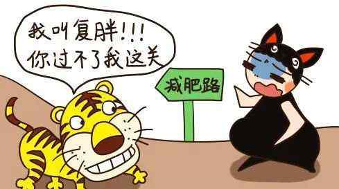 瘦身反弹 掌握这几点，和减肥反弹说拜拜！