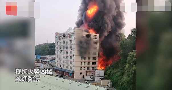 深圳大火 突发！广东深圳一工业园附近发生火灾，浓烟滚滚！