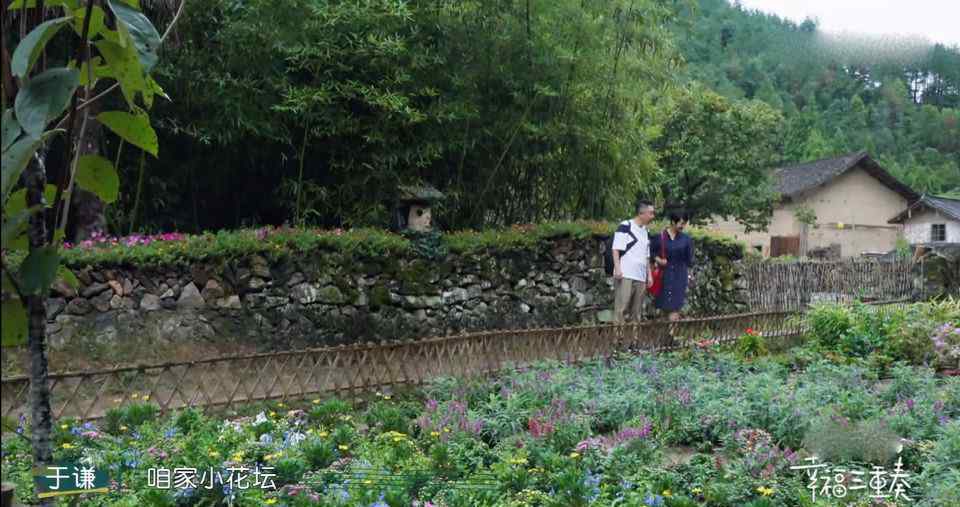 马玲的小屋 于谦北京坐拥60亩地，带着老婆住进农家小屋，院子花田喝茶赏景
