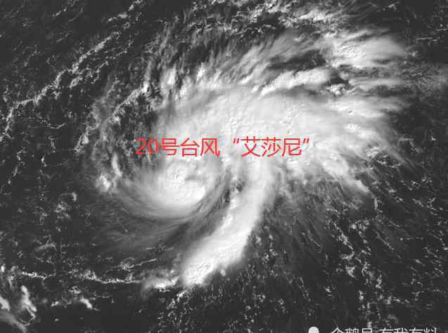 20号台风 20号台风“艾莎尼”最新消息