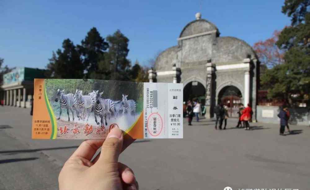 动物园里动物100种 北京市野生动物园里面的鹦鹉，看看你能认识几种鹦鹉？