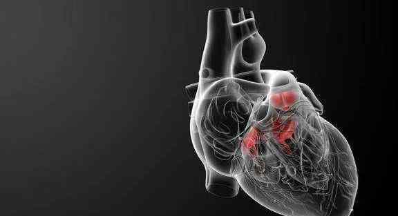 心脏供血不足一味中药 拯救心肌缺血保护心脏过敏性反应 这味中药很有效