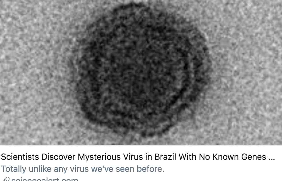 雅拉病毒 巴西发现神秘的“雅拉病毒”，90%基因从未被记录