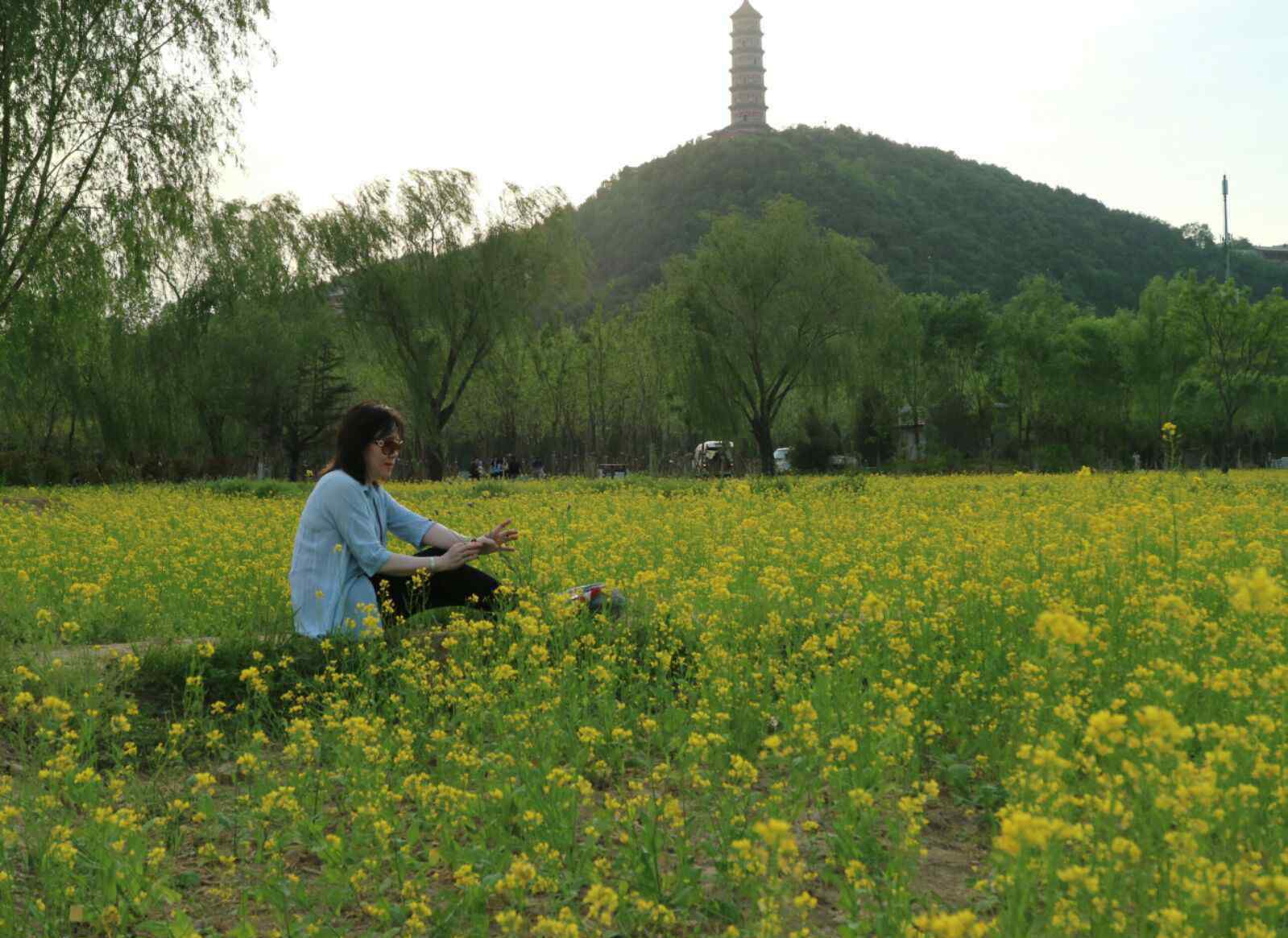 淡雅宁静 淡雅宁静，是心的感觉