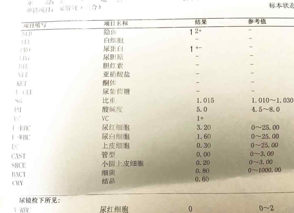 肾穿刺的利与弊 肌酐135，尿蛋白3+，复查不利一度绝望...我想对每一个挣扎中的肾友说