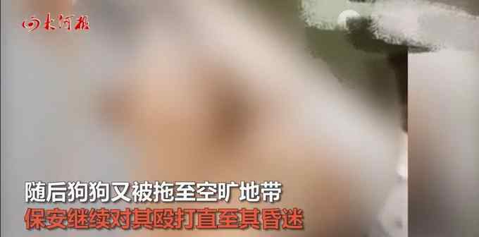 两保安暴打金毛 主人:治好也残废 目前是什么情况？