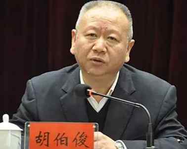 胡伯俊 重要任命：胡伯俊任湖南省委组织部常务副部长