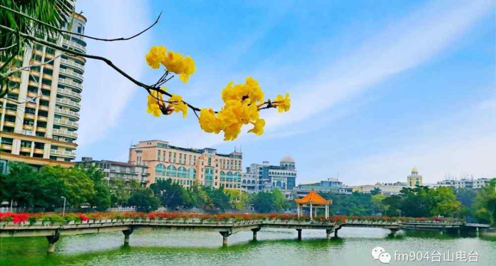 台山人精神 台山人！你知道我们的话是“半唐番”吗？