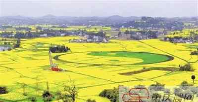 遍地桃花 重庆春游地图出炉 赏花、摘草莓、放风筝一个都不能少