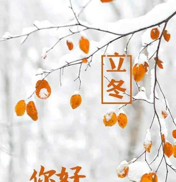 立冬祝福 2020立冬节气的温馨祝福语带图片，立冬送朋友问候祝福语
