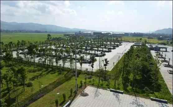 生态停车场 湘潭建首个生态停车场 停车场居然也可以这么美