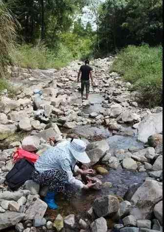 值钱的黑色石头图片 温州一溪滩发现一种黑石头 引来众人挖宝