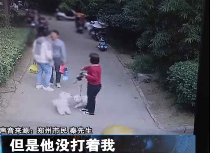 郑州一男子被狗吓住 却遭狗主人暴打！狗主人：给狗道歉