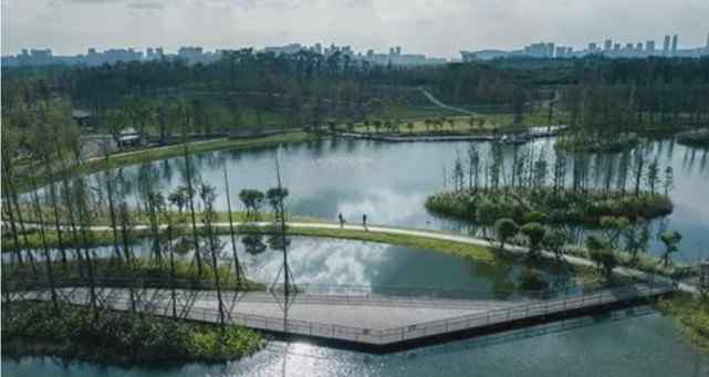 成都青龙湖湿地公园 国庆正式开放！青龙湖湿地公园二期来了