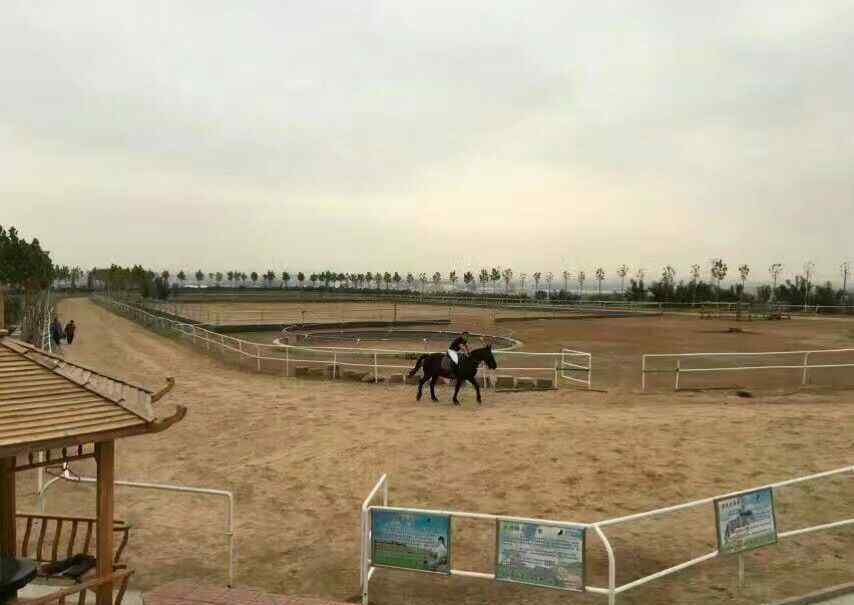 怡之航场站 淄博市驰航庄园 淄博驰航马术俱乐部