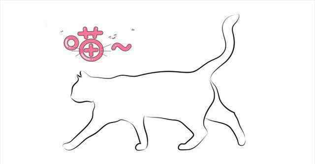 猫报复性撒尿 猫咪在床上尿尿是什么心理？并不是我们认为的样子
