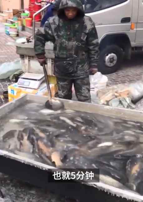 看呆！东北商贩街头零下30度生火煮活鱼为保鲜 网友：温泉鱼？