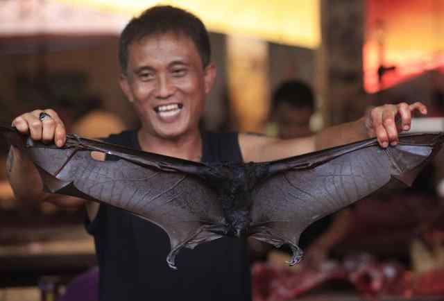 蝙蝠菜 印度尼西亚餐馆取消蝙蝠炖菜，老板：现在知道蝙蝠带病毒了
