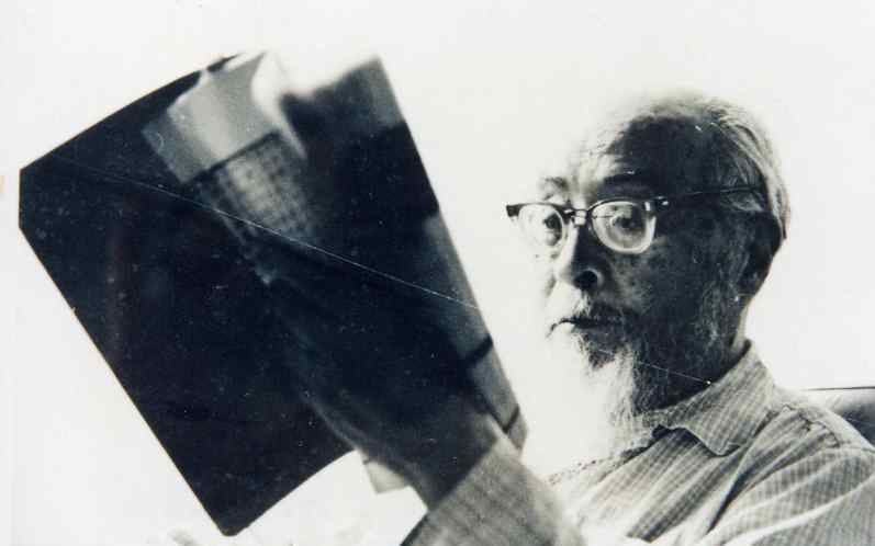 张清常 两位大学教授模仿岳飞，写了一首《满江红》，杨振宁记了80多年