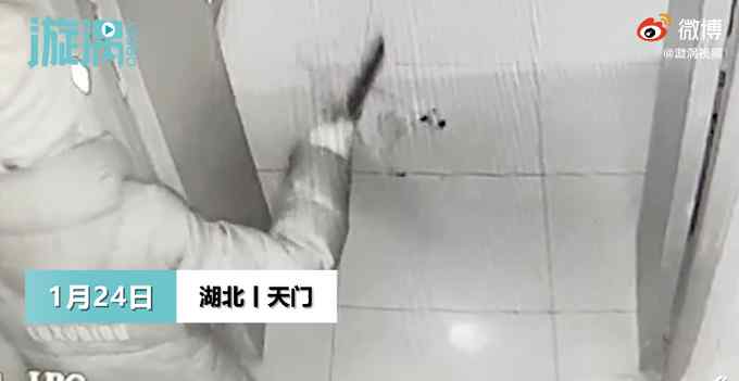 泰迪在楼道被女邻居持刀砍碎头骨 主人要求道歉被拒 网友：俩人都不对