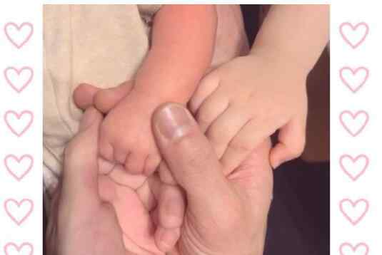 郭富城生的男孩女孩 郭富城二胎是男孩女孩 经纪人曝方媛二胎性别是位小公主